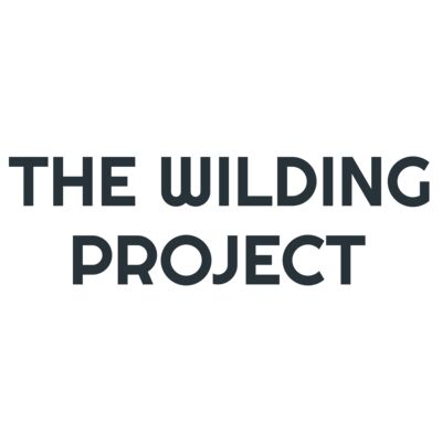 WILDING PROJECT GRAY - BACK Thumbnail