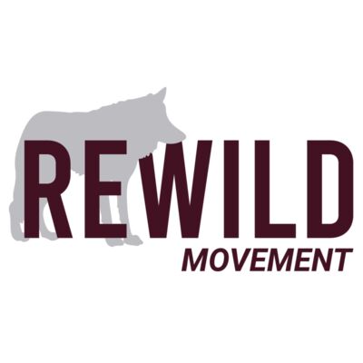 REWILD WOLF BURGUNDY Thumbnail