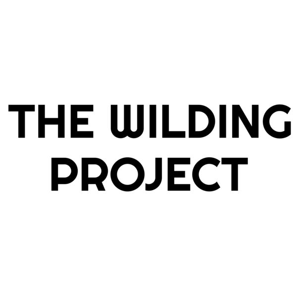 WILDING PROJECT BLACK - BACK Thumbnail