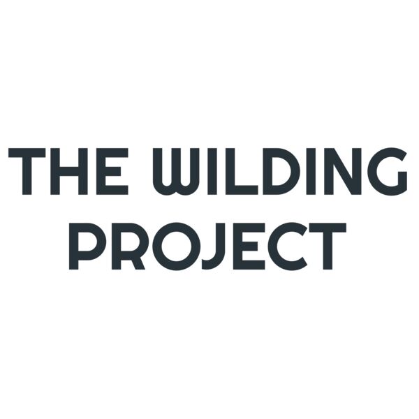 WILDING PROJECT GRAY - BACK Thumbnail