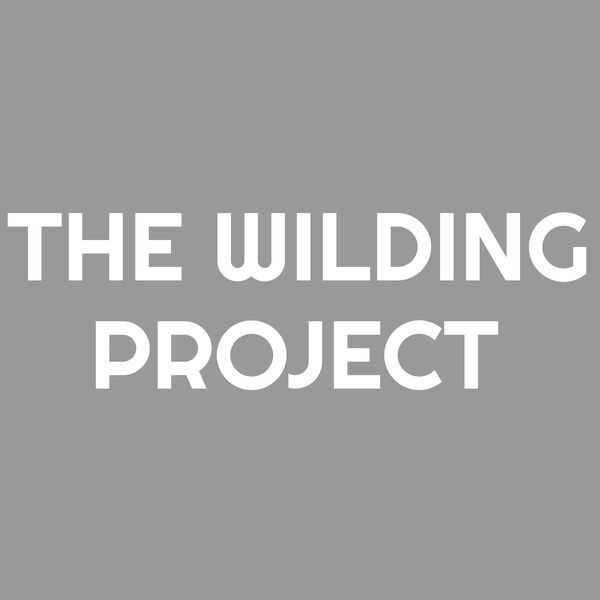WILDING PROJECT WHITE - BACK Thumbnail