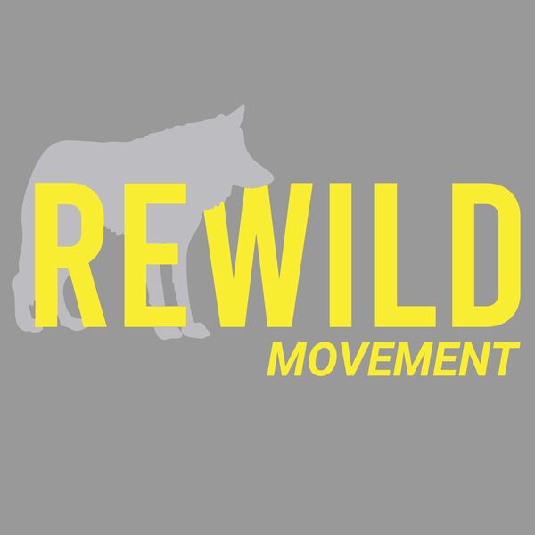 REWILD WOLF YELLOW Thumbnail