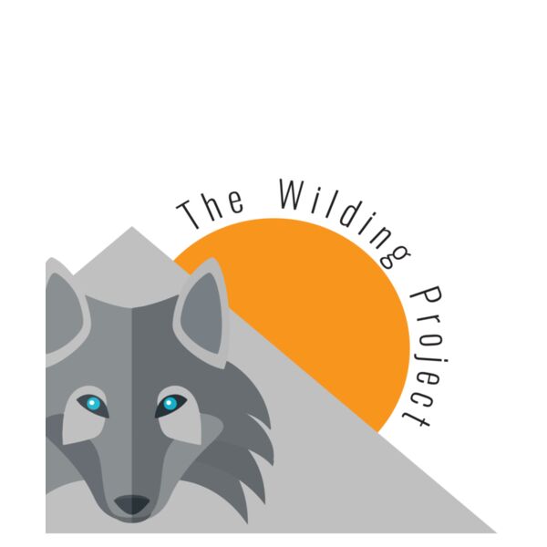 PARKOUR FRONT NO SLOGAN BLACK Thumbnail